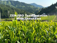 ギャラリービューアZENJIRO 煎茶 美濃白川 100g 450周年記念に読み込んでビデオを見る