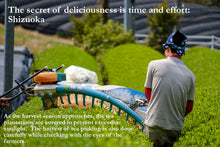 画像をギャラリービューアに読み込む, 有機セレモニアル抹茶・京都産:ホレカ用特別セット AA - 1kg x 3 bags